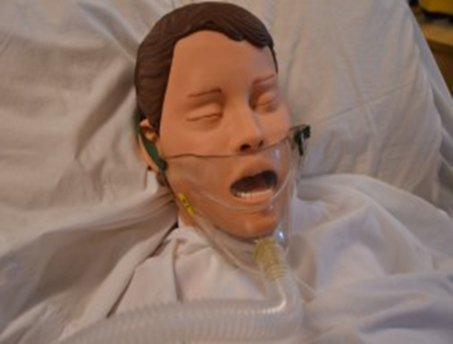 Oxygen Mask Big Size( Oxygen Tent Mask)