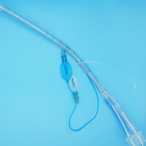 Double-lumen Endotracheal Tube